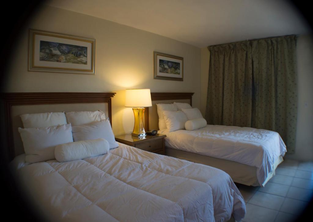 Downtown Hollywood Gardens Inn & Suites Esterno foto